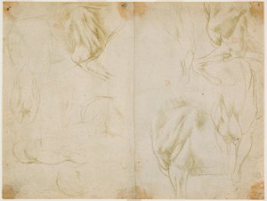 馬の前肢の筋肉の研究c。 1480（準備されたライトオリーブグリーンペーパーの金属チップ）